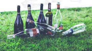 Eight empty wine bottles grouped together on grass. Some clear and some dark glass with five upright and some fallen over.