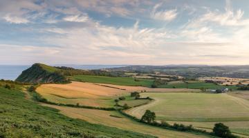 A picture of Devon's coastline and fields, with a blue sky.